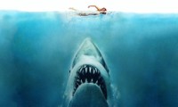 Bí mật khiến cho cá mập Trắng trở nên loại vật phổ biến nhất nhập trái đất phim ảnh