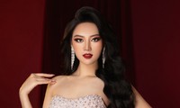 Đại diện Việt Nam ở Miss Earth 2024 gây thất vọng dù chưa chính thức thi?