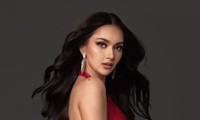 Miss Cosmo 2024 lại gặp sự cố: Ứng viên sáng giá phải ngồi xe lăn di chuyển