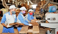 Việt Nam kỳ vọng xuất khẩu gỗ và lâm sản đạt 15 tỷ USD