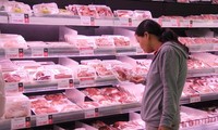 Việt Nam sẽ nhập khẩu khoảng 100 nghìn tấn thịt lợn để bổ sung cho nhu cầu cho dịp Tết và Quý 1/2020