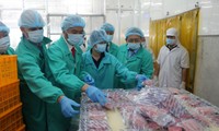 Hiệp định EVFTA là cơ hội để Việt Nam tăng xuất khẩu cá ngừ vào EU