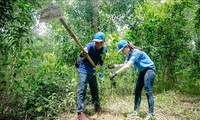 Thứ trưởng Thường trực Bộ NN&PTNT Hà Công Tuấn cho biết đã báo cáo Thủ tướng xây dựng đề án trồng 1 tỷ cây xanh trong 5 năm tới.