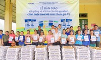 Mavin phối hợp World Vision Việt Nam hỗ trợ sinh kế cho các hộ nghèo