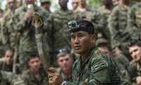 Lính Mỹ luyện uống máu rắn hổ mang