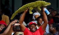 Một người dân giơ cao con cá sấu bông, biểu tượng của vị cựu Phó Tổng thống Zimbabwe Emmerson Mnangagwa.