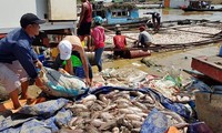 Cá nuôi trên sông La Ngà chết vào ngày 20/5