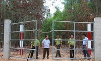 Thêm 15km hàng rào điện bảo vệ đàn voi hoang dã ở Đồng Nai 