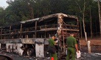 Xe khách giường nằm cháy rụi trên cao tốc Phan Thiết- Dầu Giây