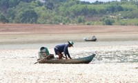 Cá chết trắng hồ Sông Mây ở Đồng Nai