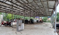 Quận Nam Từ Liêm phản hồi gì về việc để chợ dân sinh xây xong bỏ hoang 6 năm? 