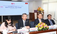 TPHCM tổ chức lễ hội quy mô lớn kỷ niệm 50 năm ngoại giao Việt Nam - Nhật Bản