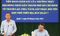 TPHCM giám sát việc thành lập, chia tách, sáp nhập khu phố ở quận 7