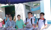 Sinh viên Sài Gòn giải cứu khoai lang giúp người dân Tây Nguyên