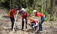 Keppel Land và báo Tiền Phong trồng 3.000 cây xanh hưởng ứng Ngày Bảo tồn thiên thiên thế giới