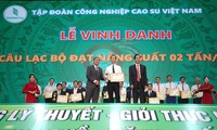 Tập đoàn Công nghiệp Cao su Việt Nam vinh danh công ty đạt năng suất trên 2 tấn/ha