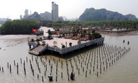 Bãi cọc Cao Quỳ: Chứng tích trận thủy chiến trên sông Bạch Đằng