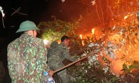 Cán bộ, chiến sĩ Tiểu đoàn Đặc công 31 (Bộ Tham mưu Quân khu 4) chữa cháy rừng ở huyện Nghi Xuân, Hà Tĩnh