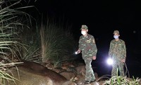 BĐBP tuần tra đêm ngăn chặn người nhập cảnh trái phép trên tuyến biên giới Quảng Ninh. Ảnh: Nguyễn Minh