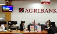 Agribank - một trong những "ông lớn” ngân hàng đồng loạt xin tăng vốn điều lệ. ảnh minh hoạ 