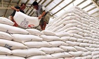 Có 14 tỉnh đề nghị xuất cấp gạo cho người dân thiếu đói dịp Tết Nguyên đán 2023. Ảnh minh hoạ