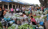 Ngày mùng 1, mùng 2 tết, mỗi ngày có 85 tấn rau, củ và 15 tấn trái cây nhập chợ đầu mối Hóc Môn. Ảnh minh hoạ 