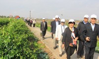 Các bệnh nhân chứng kiến thực tế vùng trồng Dây thìa canh chuẩn hóa sản xuất nên Diabetna, rộng hơn 3ha tại Hải Hậu, Nam Định