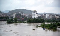 Lũ ngập bãi soi nắm giữa sông Hồng, đoạn chảy qua TP Lào Cai.