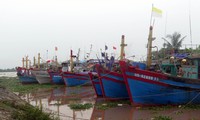 Ngư dân tại thị trấn Thịnh Long (Hải Hậu, Nam Định) đã đưa tàu thuyền vào nơi tránh trú an toàn - Ảnh: Hoàng Long