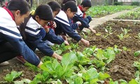 Học sinh Trường tiểu học Bản Xen chăm sóc vườn rau.