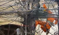 TS Nguyễn Đình Cung ví điều kiện kinh doanh tại Việt Nam như mang lưới điện thành phố, không biết cắt cái nào, để cái nào. (Ảnh minh họa tuoitre.vn).
