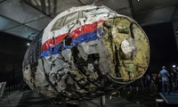 Mảnh vỡ máy bay MH17. Ảnh: Reuters.
