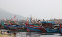 Hàng ngàn phương tiện tàu thuyền Đà Nẵng và khu vực lân cận đã về âu thuyền Tho Quang (Sơn Trà, Đà Nẵng) để trú tránh bão. Ảnh: Nguyễn Thành.