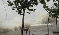 [ẢNH] Ảnh hưởng bão số 10, sóng biển gào thét ở Nghệ An