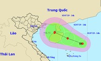 Áp thấp nhiệt đới giật cấp 8 trên Biển Đông, khả năng mạnh thành bão