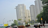 Thanh tra về đất đai loạt dự án bất động sản &apos;khủng&apos; ở Hà Nội 