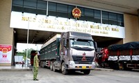 Lào Cai: Ưu tiên cao nhất cho xuất khẩu quả vải thiều sang Trung Quốc