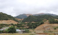 Thủ tướng cho phép Khánh Hòa chuyển mục đích sử dụng rừng dưới 1.000ha
