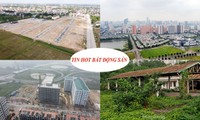 Ồ ạt đấu giá đất, lãi suất cho vay mua nhà rẻ nhất 