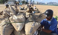 Dân Khánh Hoà đổ xô xúc cát chuẩn bị ứng phó bão số 9