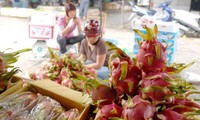 Bộ Công Thương đề nghị Trung Quốc mở cửa cho nhiều loại nông sản Việt