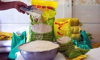 Đại diện Bộ NN&PTNT cùng Bộ Công Thương cho hay, đang vào cuộc quyết liệt để bảo vệ thương hiệu cho hai giống gạo nổi tiếng ST24 và ST25 của Việt Nam