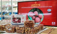 Vải thiều Thanh Hà của Việt Nam bán tại hệ thống siêu thị Á Châu tại Paris có giá tới 18 euro/kg, tương đương 485.000 đồng/kg nhưng vẫn đắt hàng