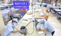 Đại diện Hiệp hội Dệt May Việt Nam kiến nghị Chính phủ cho lập các khu công nghiệp dệt may quy mô lớn để giải quyết vấn đề về nguyên liệu vải, nhuộm, hoá chất…Ảnh: Như Ý