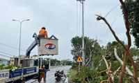 Công nhân Điện lực Quảng Ngãi khắc phục sự cố điện sau bão số 4