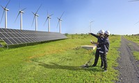 Cánh đồng điện gió đầu tư hàng nghìn tỷ đồng... &apos;nằm bất động’