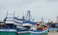 Tàu cá vào neo đậu ở cảng Trần Đề, Sóc Trăng.