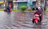 Mưa lớn kéo dài, đường phố Bạc Liêu ngập trong biển nước