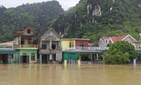 Hàng trăm ngôi nhà ở Ninh Bình bị chia cắt bởi nước lũ