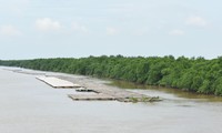 Khu Bảo tồn thiên nhiên đất ngập nước Tiền Hải là một trong hai vùng lõi của Khu dự trữ sinh quyển châu thổ sông Hồng Ảnh: TL 
